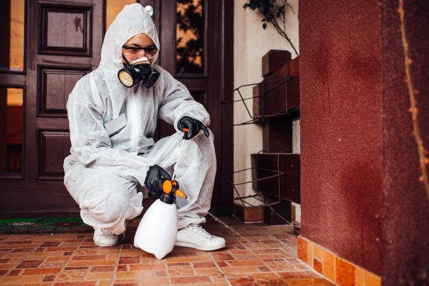Reliable Wasp Removal contractor in Dumfries, VA by Show Me Pest Control
