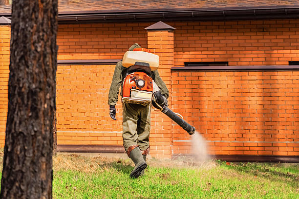 Top rated local Wasp Removal specialists in Dumfries, VA